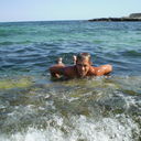  ,   , 43 ,   ,   , c 