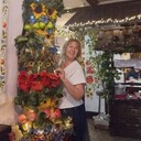 ���������� �����������, ���� ������� ��������, 62 ����, ������������ ��� ���������