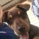 ���������� ������-��-����, ���� ������� ������, 29 ���, ������������ ��� ����� � ���������, c�������� ���������