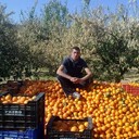 ���������� �����, ���� ������� ��������, 41 ���, ������������ ��� c�������� ���������