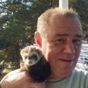 ���������� �������, ���� ������� ������, 52 ����, ������������ ��� c�������� ���������