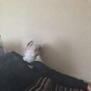  ,   , 20 ,   ,   , c 