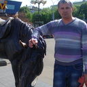  ,   , 56 ,   