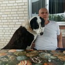 ���������� �������, ���� ������� �����, 58 ���, ������������ ��� ������