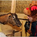 ���������� ������, ���� ������� ���������, 29 ���, ������������ ��� ������, ����� � ���������, c�������� ���������