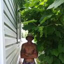  ,   , 36 ,  