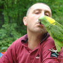  ,   , 58 ,  