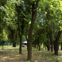 ���������� ������, ���� ������� ������, 34 ����, ������������ ��� ������, ����� � ���������, c�������� ���������