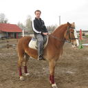 ���������� �������, ���� ������� ������, 37 ���, ������������ ��� ������, ����� � ���������, c�������� ���������