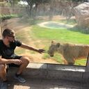 ���������� �����, ���� ������� ������, 37 ���, ������������ ��� ����� � ���������, c�������� ���������