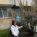  ,   , 44 ,     , c 