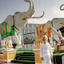 ���������� ������������, ���� ������� ����, 63 ����, ������������ ��� ������, ����� � ���������, c�������� ���������