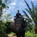 ���������� �����-���������, ���� ������� ������, 39 ���, ������������ ��� ����� � ���������, c�������� ���������