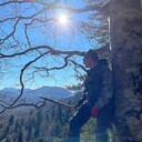 ���������� ���������, ���� ������� �������, 40 ���, ������������ ��� ������, ����� � ���������, c�������� ���������, ���������