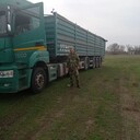 ���������� ������-��-����, ���� ������� ������, 34 ����, ������������ ��� ����� � ���������, c�������� ���������, ���������