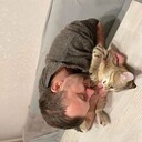 ���������� ������, ���� ������� Denis, 38 ���, ������������ ��� ������, ����� � ���������