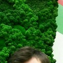 ���������� ������, ���� ������� �����, 28 ���, ������������ ��� ������, ����� � ���������, c�������� ���������