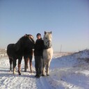 ���������� ����, ���� ������� ��������, 43 ����, ������������ ��� ������, ����� � ���������