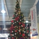 ���������� ����, ���� ������� ������, 34 ����, ������������ ��� ������