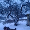  ,   Pasa, 44 ,     , c 