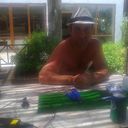  ,   Bora, 44 ,   