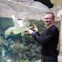 ���������� ������, ���� ������� ���������, 34 ����, ������������ ��� ������, ����� � ���������, c�������� ���������