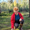 ���������� ����������, ���� ������� ��������, 55 ���, ������������ ��� c�������� ���������