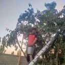 ���������� �����������, ���� ����� ��������, 25 ���, ������������ ��� ������, ����� � ���������