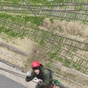 ���������� �����, ���� ������� �������, 36 ���, ������������ ��� ������, ����� � ���������