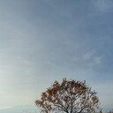 ���������� ���������, ���� ������� GRIGOR, 45 ���, ������������ ��� ������, ����� � ���������