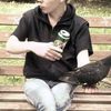  ,   , 33 ,   