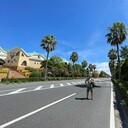  ,   , 37 ,   ,   