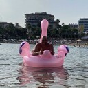 ���������� �����������, ���� ������� �������, 32 ����, ������������ ��� ������, ����� � ���������, c�������� ���������, ���������