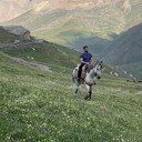 ���������� ������, ���� ������� ���, 36 ���, ������������ ��� c�������� ���������