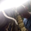  ,   , 39 ,   ,   