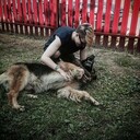 ���������� ������, ���� ������� ����, 27 ���, ������������ ��� ������, ����� � ���������, c�������� ���������, ���������