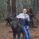  ,   , 53 ,   