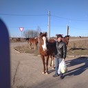 ���������� ����, ���� ������� �����, 33 ����, ������������ ��� ������, ����� � ���������, c�������� ���������