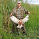 ���������� ���������, ���� ������� Marius, 36 ���, ������������ ��� ������, ����� � ���������