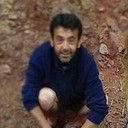 ,   Harun, 45 ,   ,   , c 