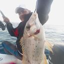  ,   Hany, 49 ,   ,   , c , 