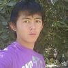  ,   Taxa, 29 ,     , c 