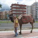 ���������� �����-���������, ���� ������� ����, 37 ���, ������������ ��� ������