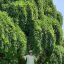  ,   , 61 ,   c 