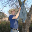 ���������� ����, ���� ������� �����, 43 ����, ������������ ��� ������, ����� � ���������, c�������� ���������