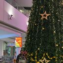 ���������� ������, ���� ������� ��������, 48 ���, ������������ ��� ������, ����� � ���������, c�������� ���������