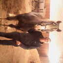 ���������� ����������, ���� ������� ��������, 45 ���, ������������ ��� ������, ����� � ���������, c�������� ���������