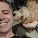 ���������� ������, ���� ������� ������, 51 ���, ������������ ��� ����� � ���������, c�������� ���������