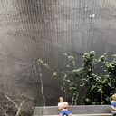  ,   , 37 ,   ,   , c , 