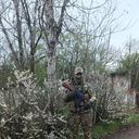 ���������� ��������, ���� ������� ������, 35 ���, ������������ ��� ������, ����� � ���������, c�������� ���������, ���������